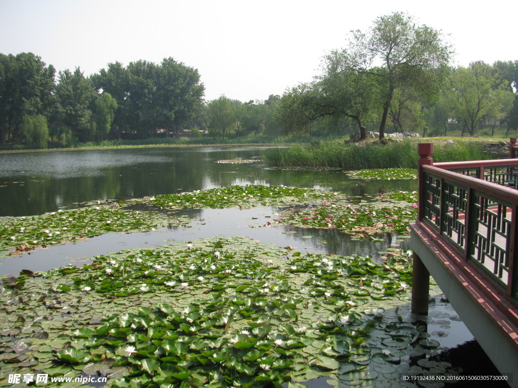 圆明园风景