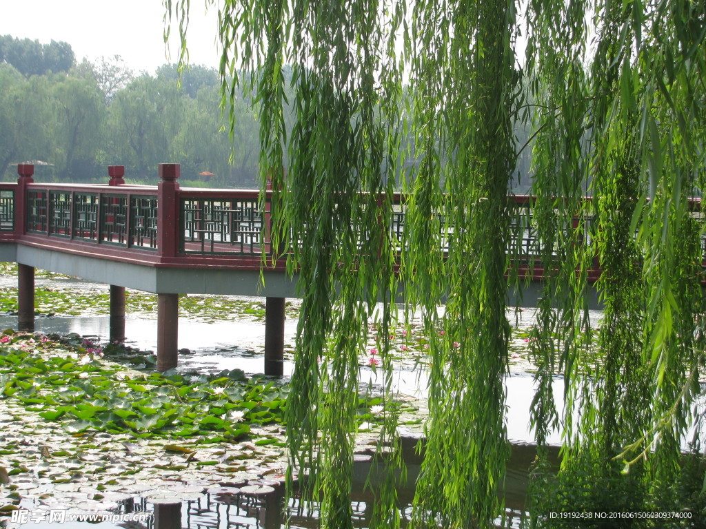 圆明园风景