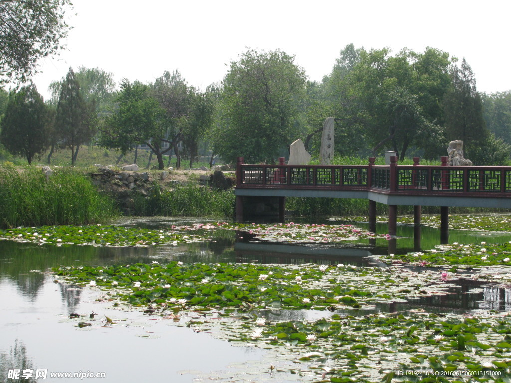 圆明园风景