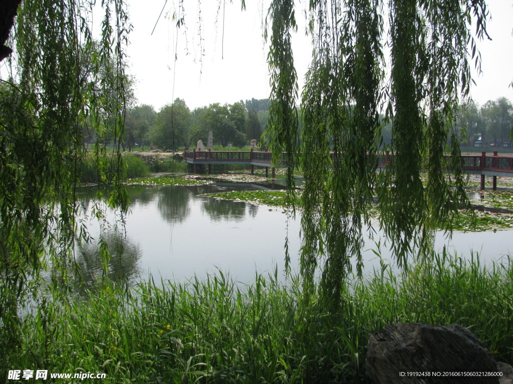 圆明园风景