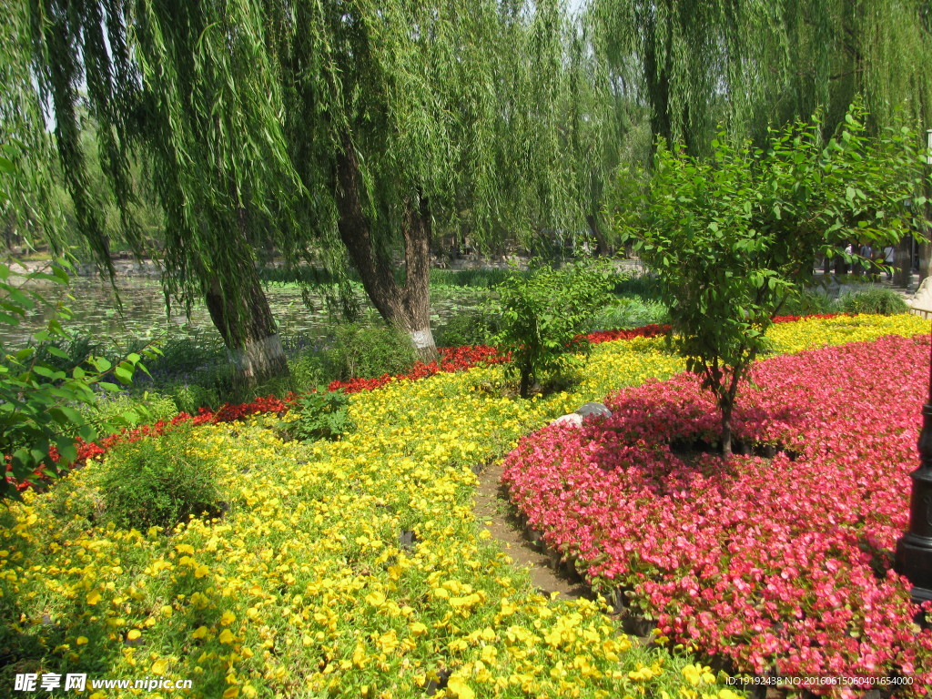 圆明园风景