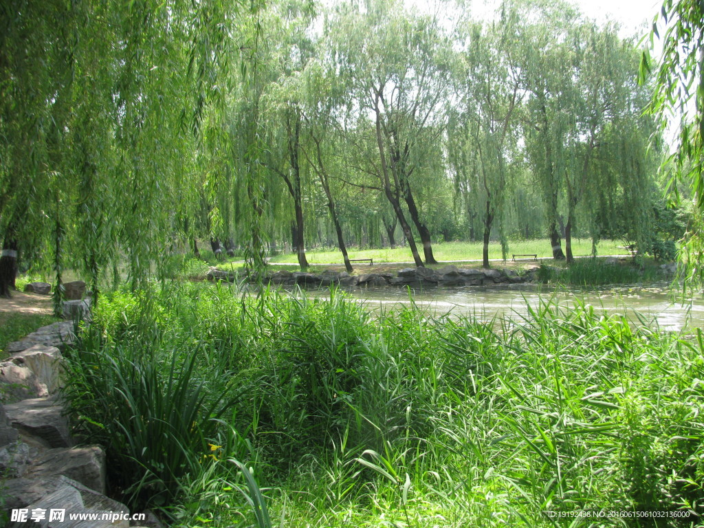 圆明园风景