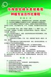绿色展板