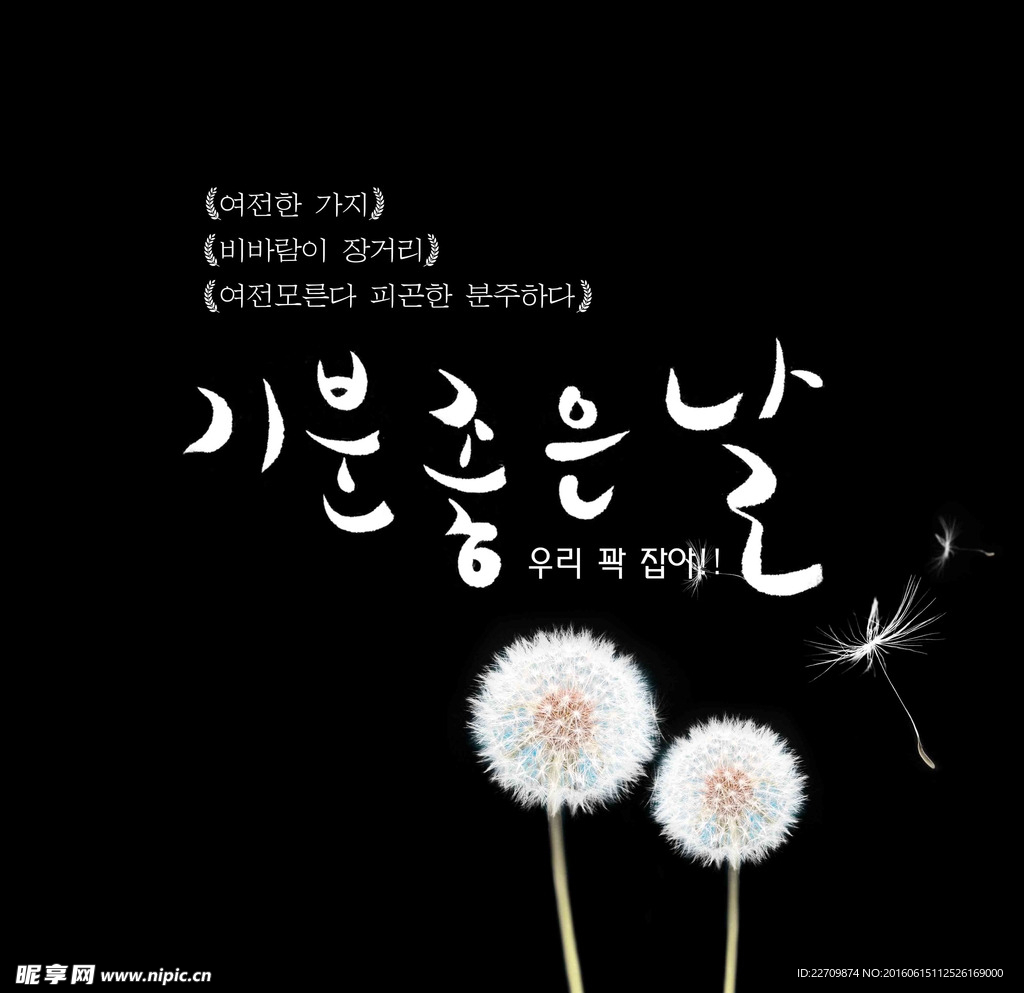 白色蒲公英文字