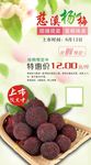 杨梅宣传单
