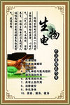 生物电 中国风 古典边框 按摩