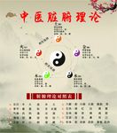 中医脏腑理论