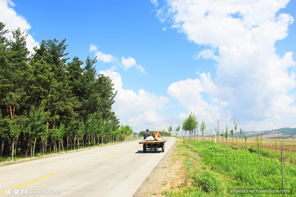 公路上的马车