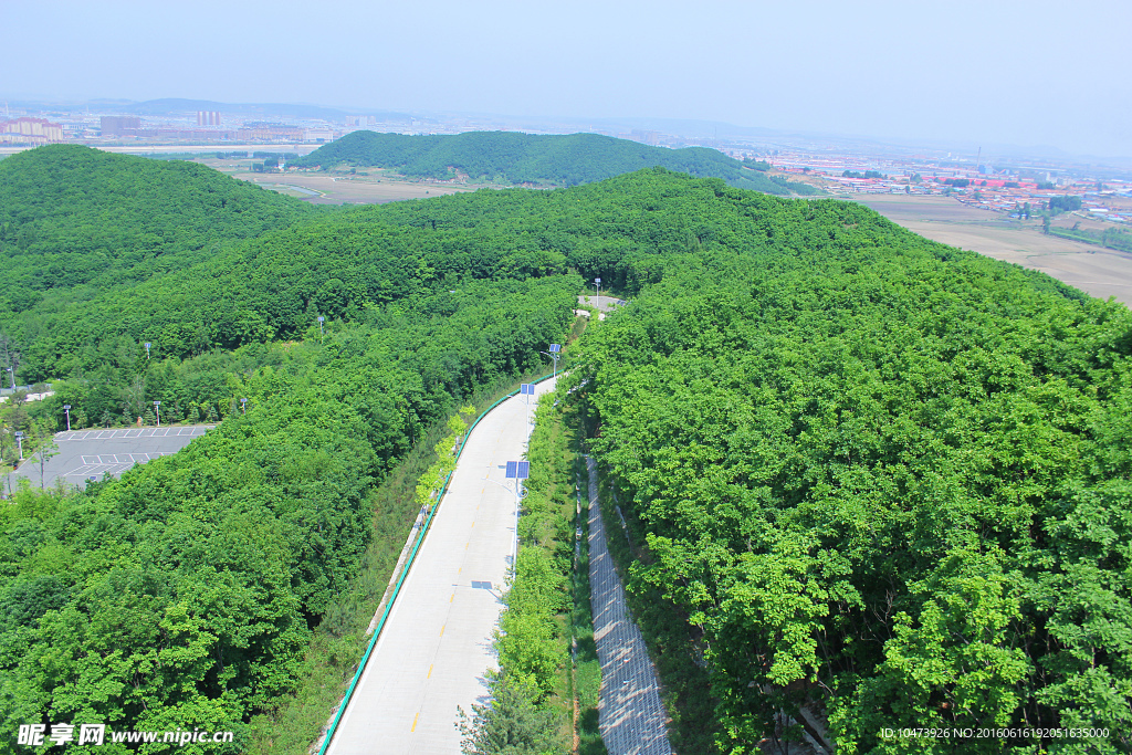 六鼎寺后山密林