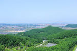 山城密林图片