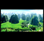 中国万峰林景区
