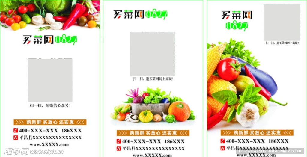 蔬菜名片