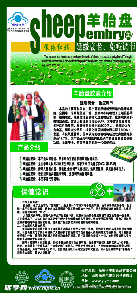 羊胎盘图片 人物 羊图片 草地