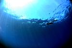 海底中的阳光