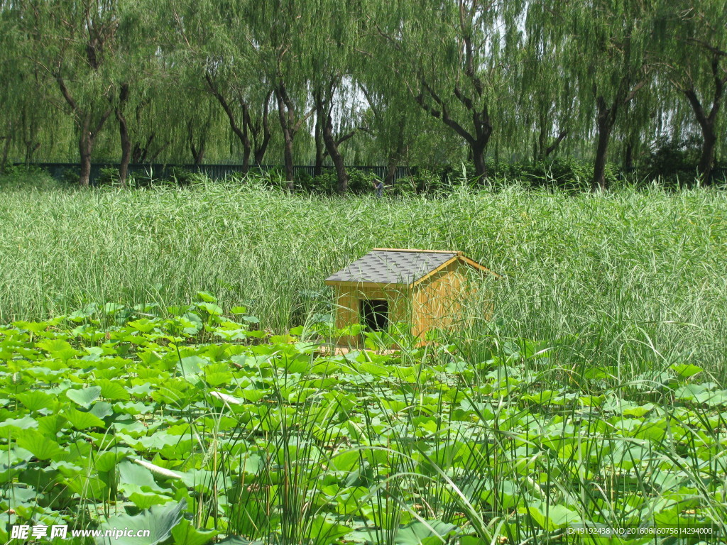 颐和园风景