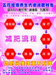 五行养生 流程 高清 分层