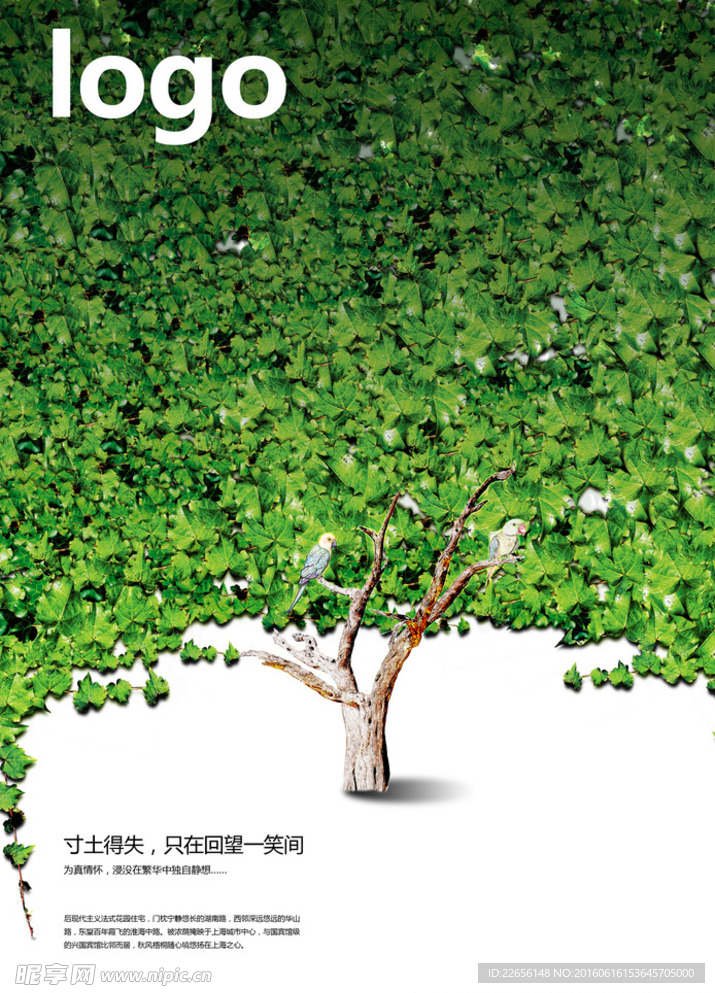 书籍封面图片