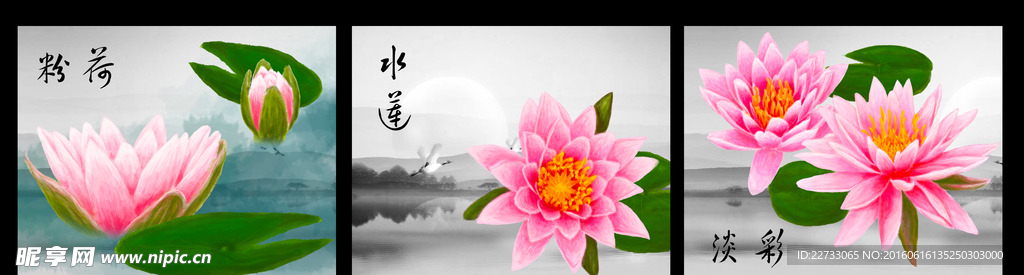 荷花装饰画