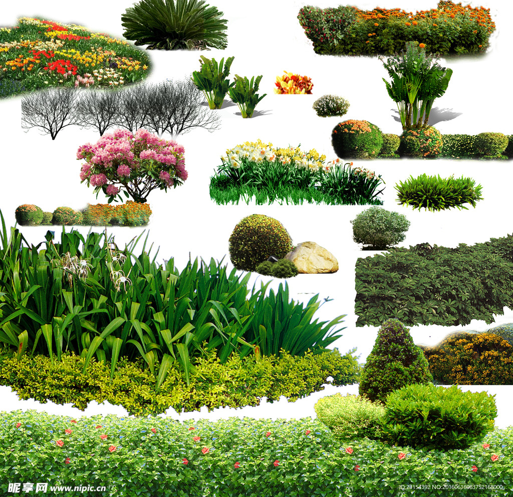 花草树木