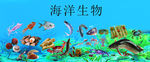鲤鱼 螃蟹