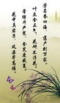 国画兰花