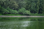 麓湖风景