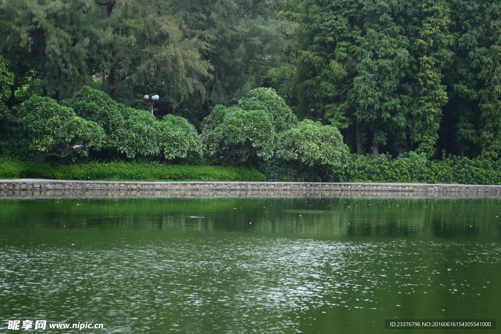 麓湖风景