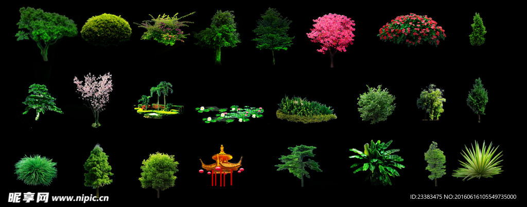植物