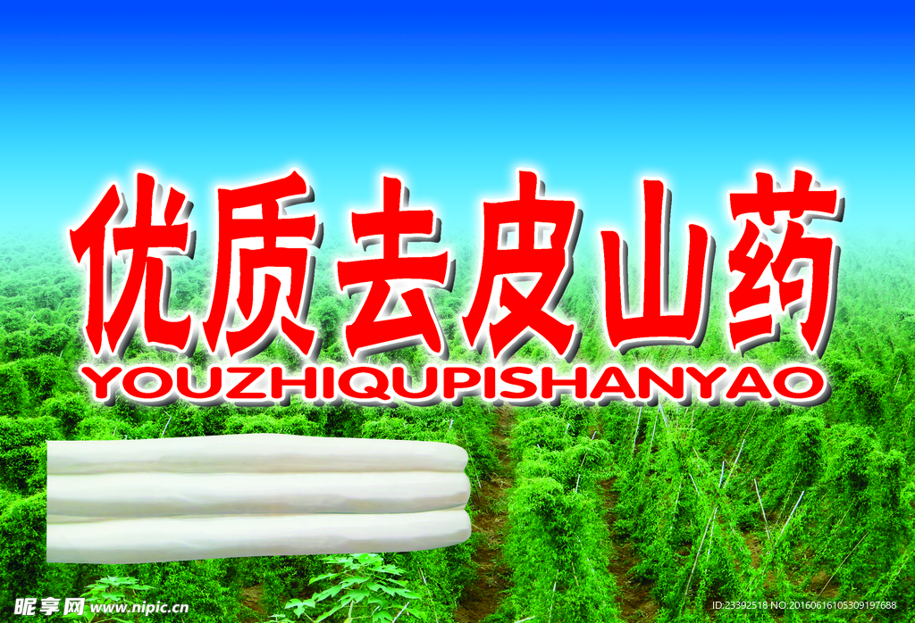 山药