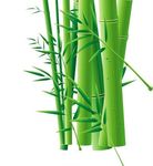 竹子立体素材