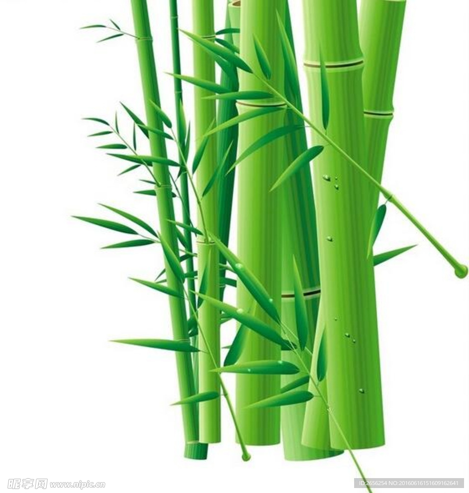 竹子立体素材
