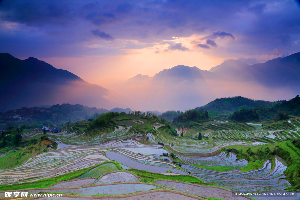 晨光浴山田