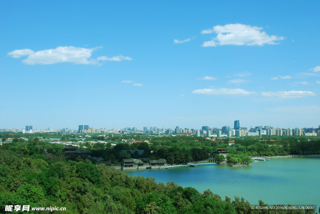 森林城市