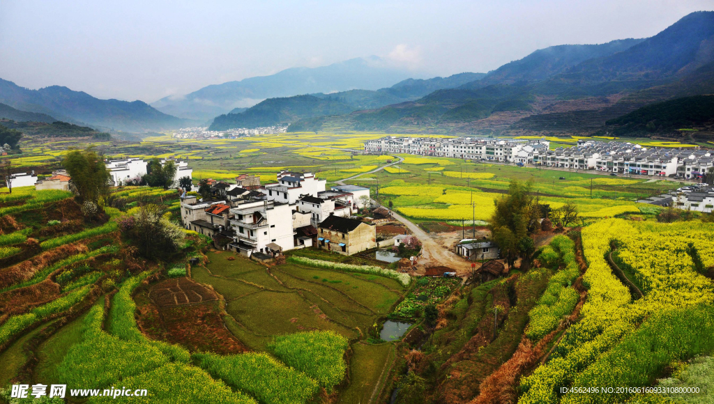 春满山村