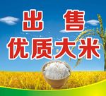 出售优质大米