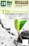 种子的力量