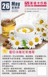 夏日花茶推荐