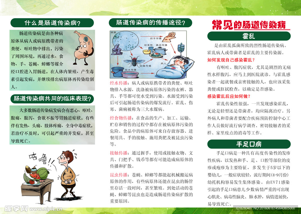 预防肠道传染病