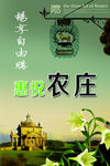 惠悦农庄海报