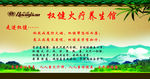 火疗海报