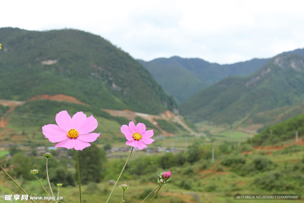 云南风景
