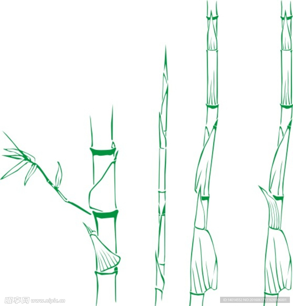 线条竹子
