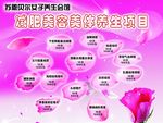 五行养生 减肥美体