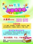 招生宣传单 开始报名 教育彩页