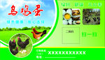 乌鸡蛋广告