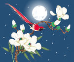 夜晚美景无框画