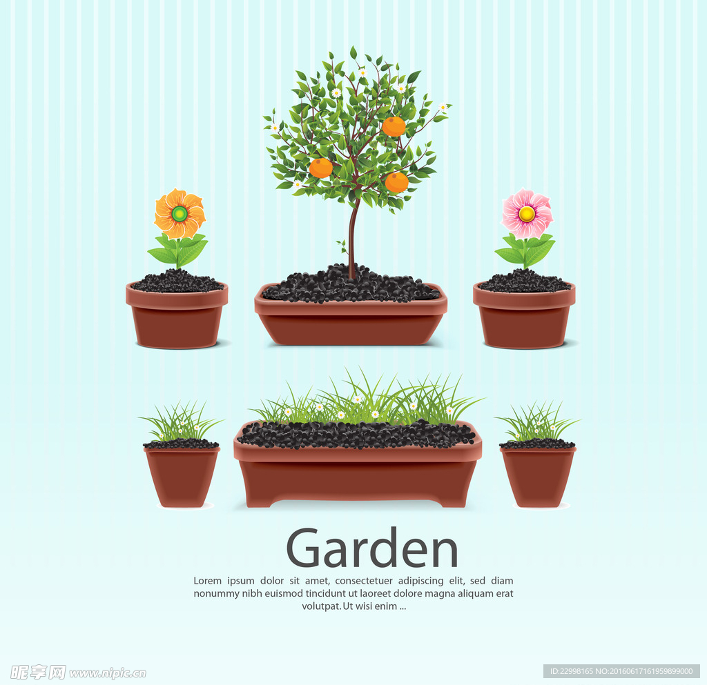 花盆 花园 模板 药材