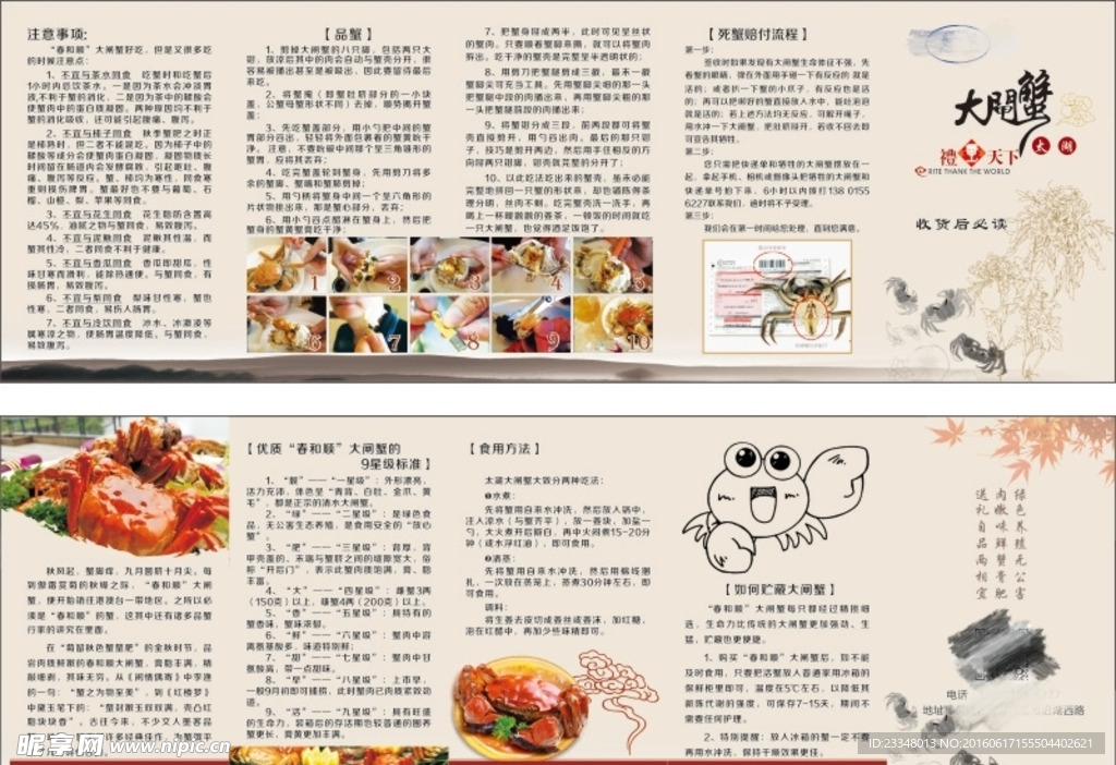 太湖大闸蟹折页