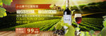 红酒banner