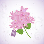 丁香花